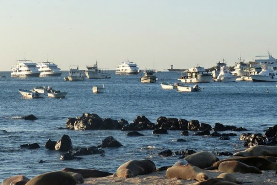 Galapagos Island Hopping